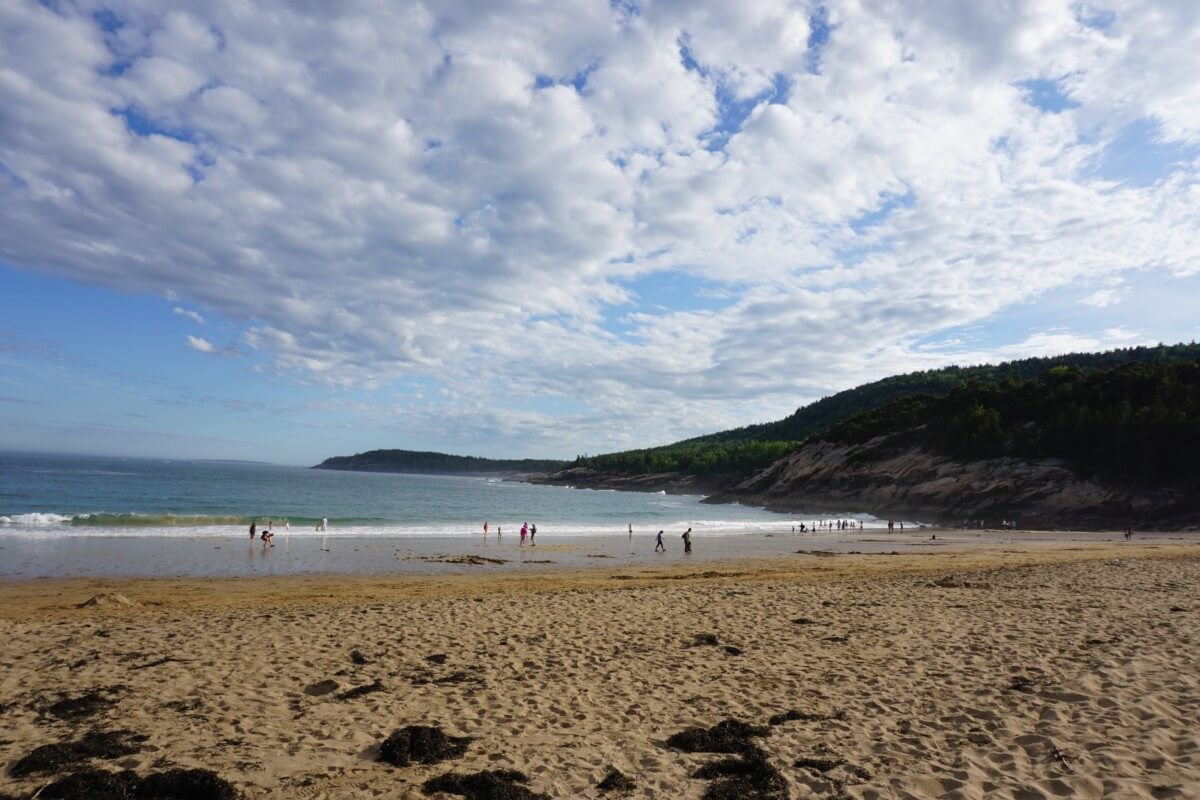 Sand Beach Acadia 