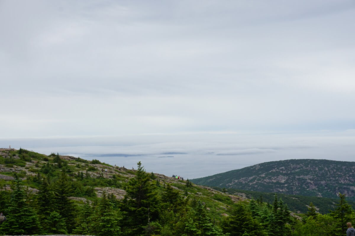 Cadillac Mountain in Acadia