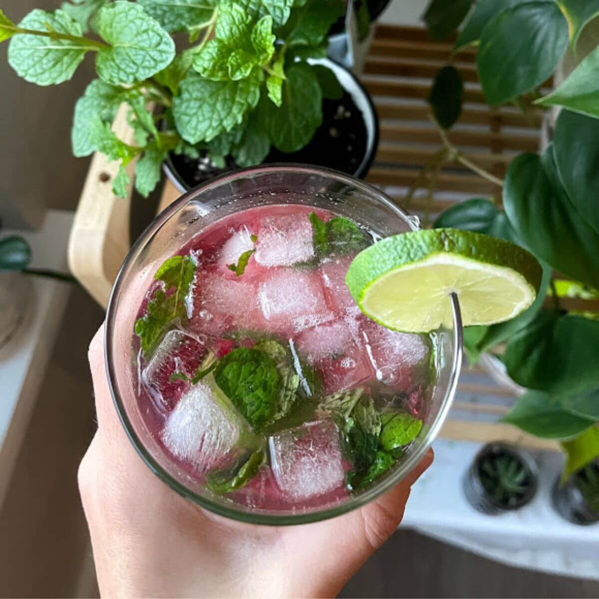 Gluten-Free Raspberry Mojito – The Nomadic Fitzpatricks