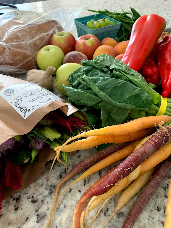 pros and cons of a CSA