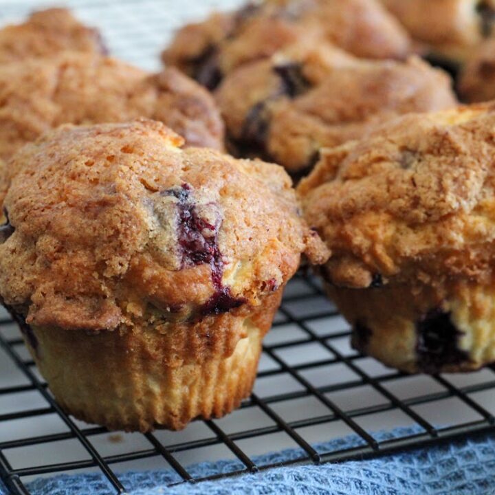 Gluten-Free Blueberry Muffins