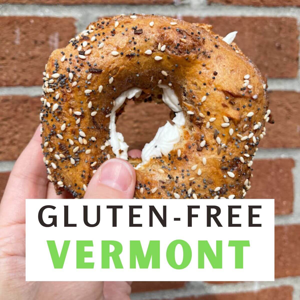 GlutenFree Burlington Vermont Travel Guide The Nomadic Fitzpatricks