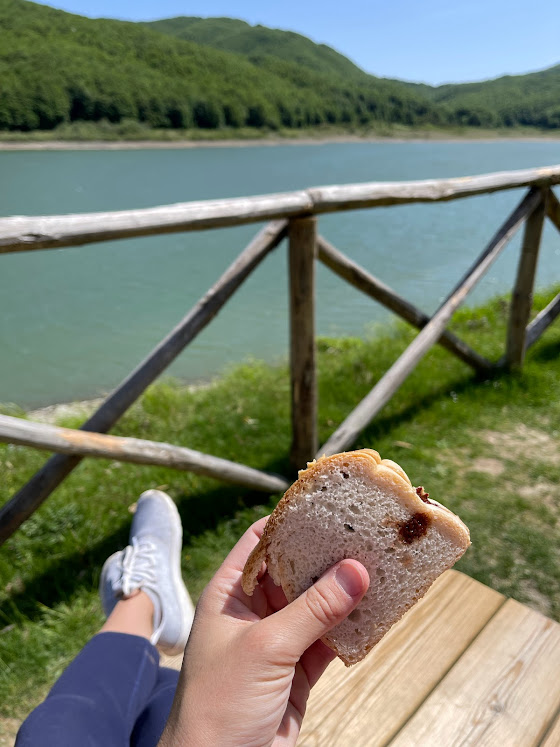 gluten-free hiking sandwich