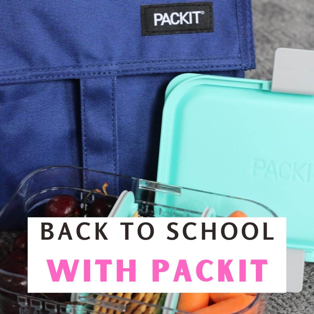 Back to School Lunches with PackIt – The Nomadic Fitzpatricks