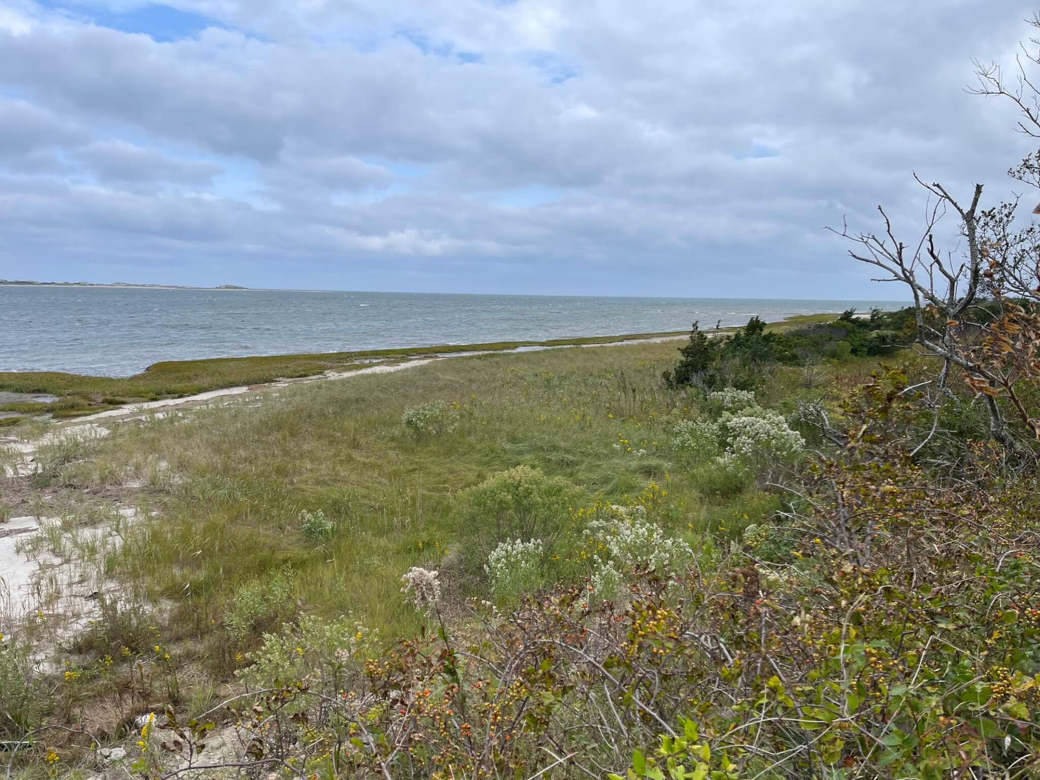 Cape Cod