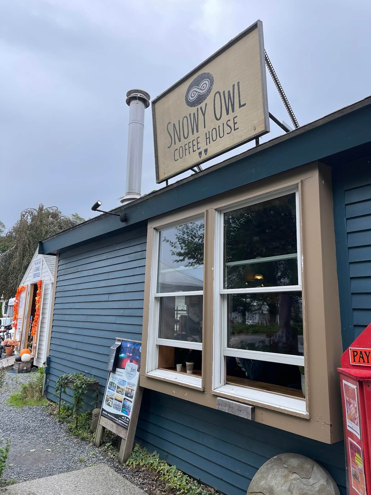 Snowy Owl Coffee Cape Cod